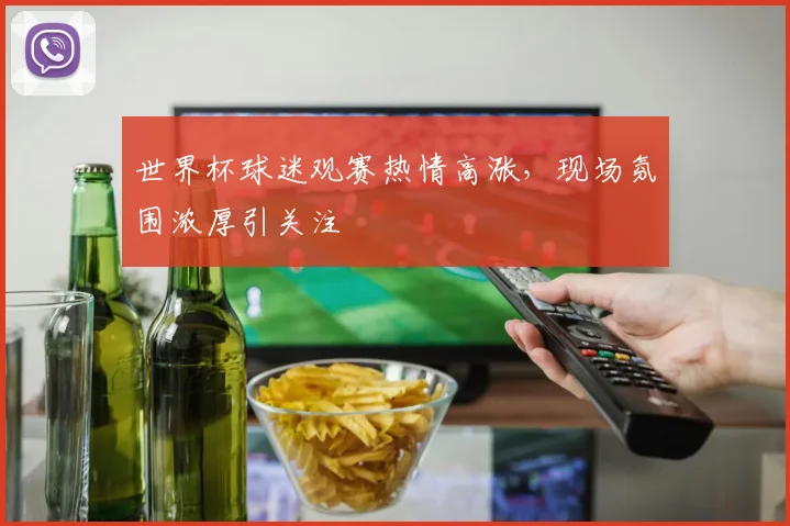 世界杯球迷观赛热情高涨，现场氛围浓厚引关注