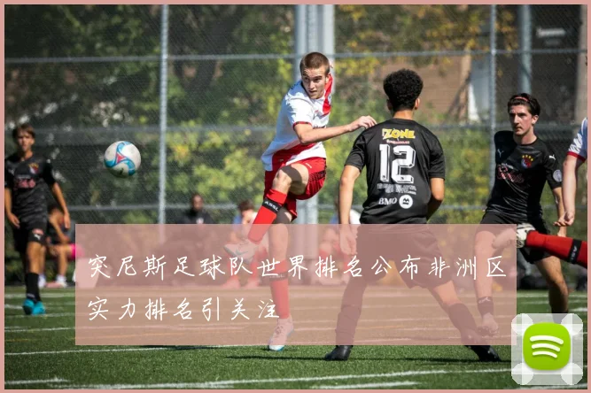 突尼斯足球队世界排名公布非洲区实力排名引关注