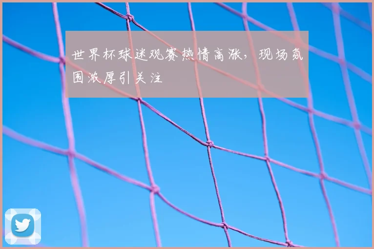 世界杯球迷观赛热情高涨,现场氛围浓厚引关注