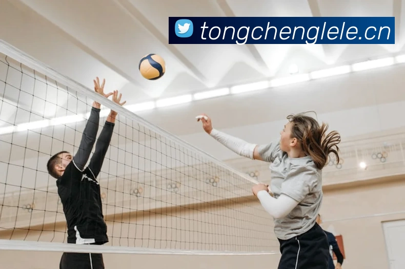 世界杯在线免费直播全站App